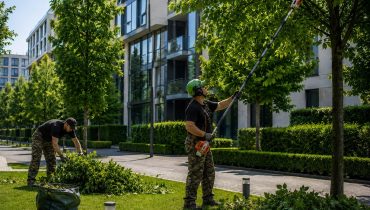 Faápolás és gallyazás társasházak, irodaházak és intézmények zöldterületein